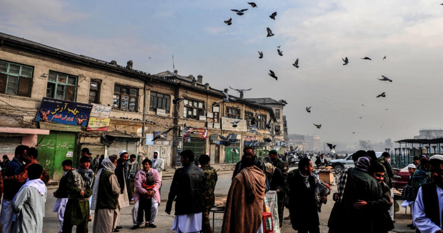 سوق الطيور في العاصمة الأفغانية - كابول