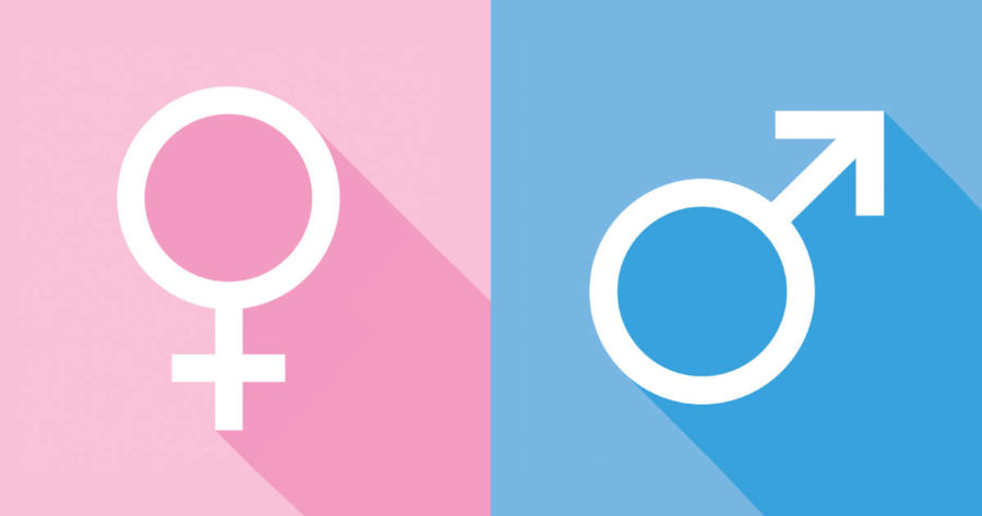 من يحدد نوع الجنين: ذكر أو أنثى، الرجل أم المرأة؟