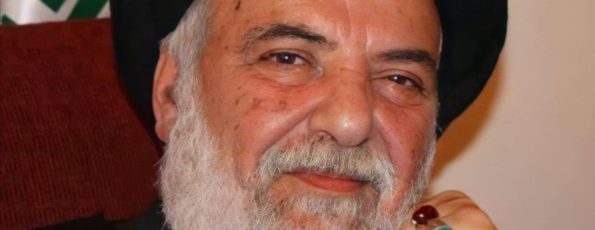 السيد محمد حسن الامين