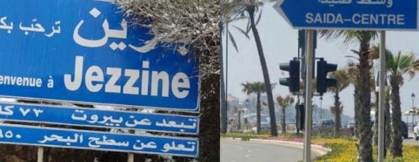 انتخابات صيدا جزين