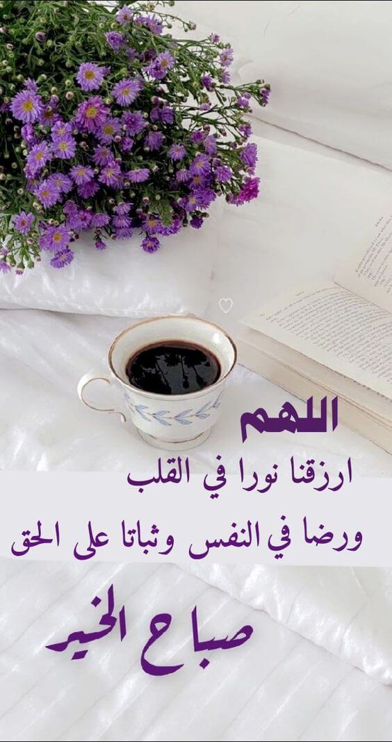 اللهم ارزقنا نوراً في القلب ورضا في النفس وثباتاً على الحق.. صباح الخير