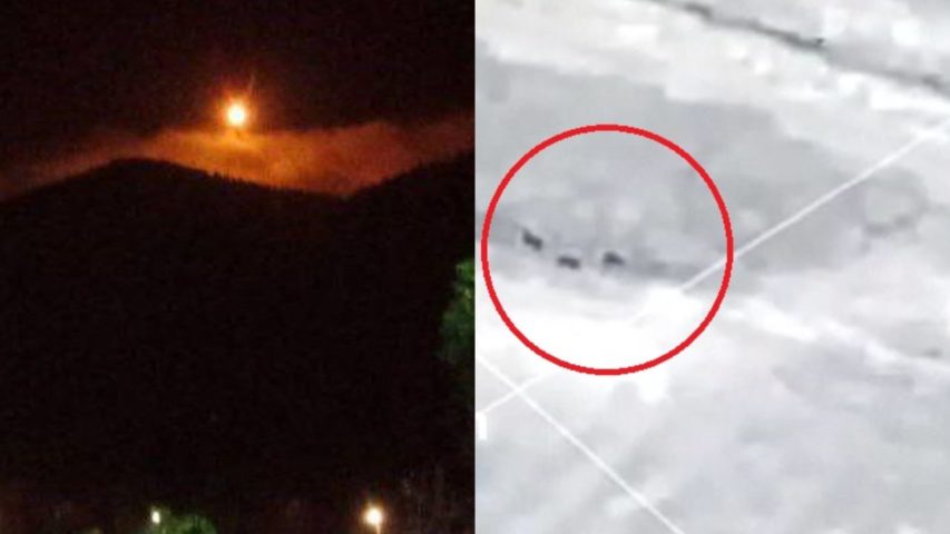 حادث الخنازير عند الحدود اللبنانية الفلسطينية