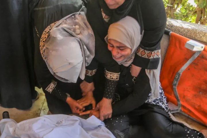 غزة جديد