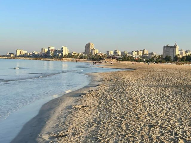 وسط محمية صور