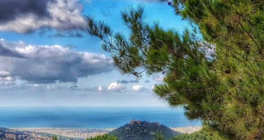 الطقس