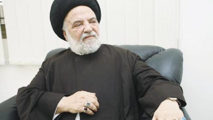 السيد محمد حسن الأمين