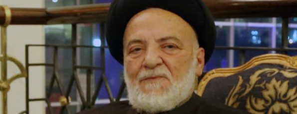 السيد محمد حسن الامين