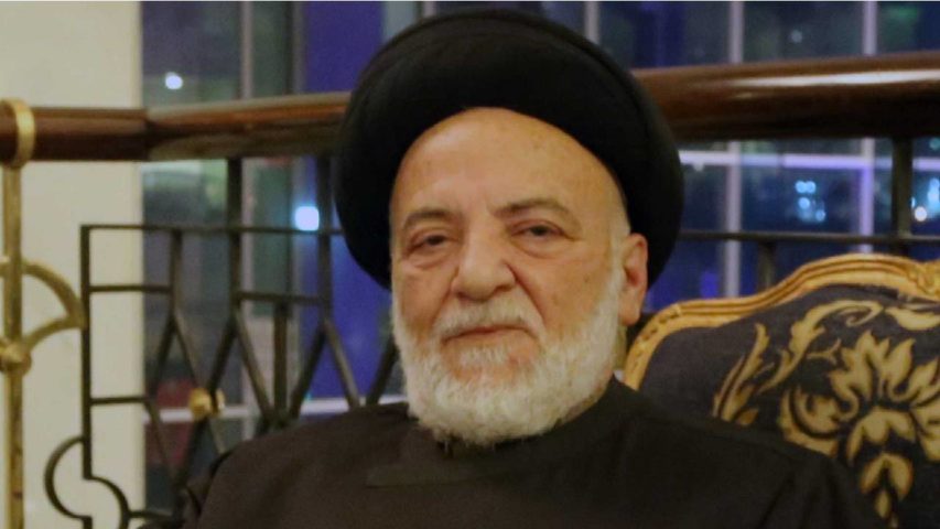 السيد محمد حسن الامين