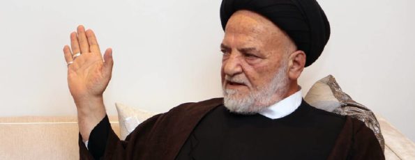 السيد محمد حسن الأمين