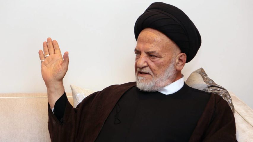 السيد محمد حسن الأمين