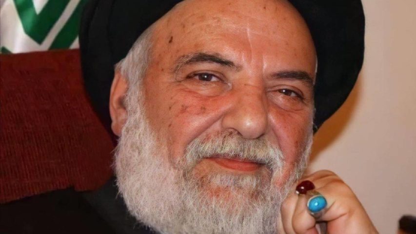 السيد محمد حسن الأمين