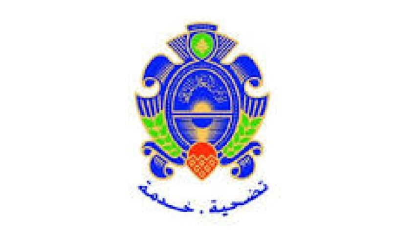 الامن العام