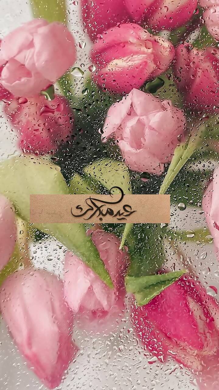 عيد مبارك