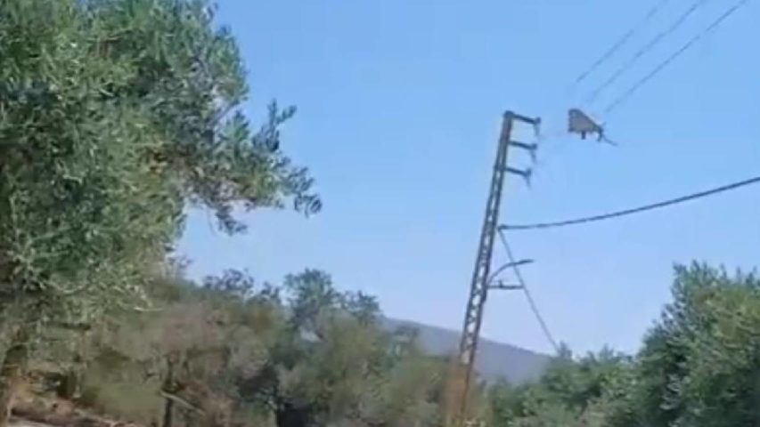سقوط مسيرة ايرانية في لبنان