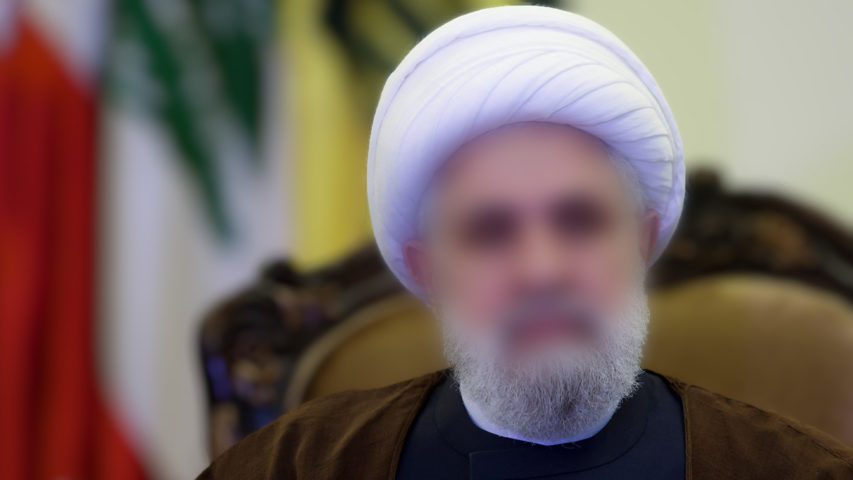 الشيخ نعيم قاسم