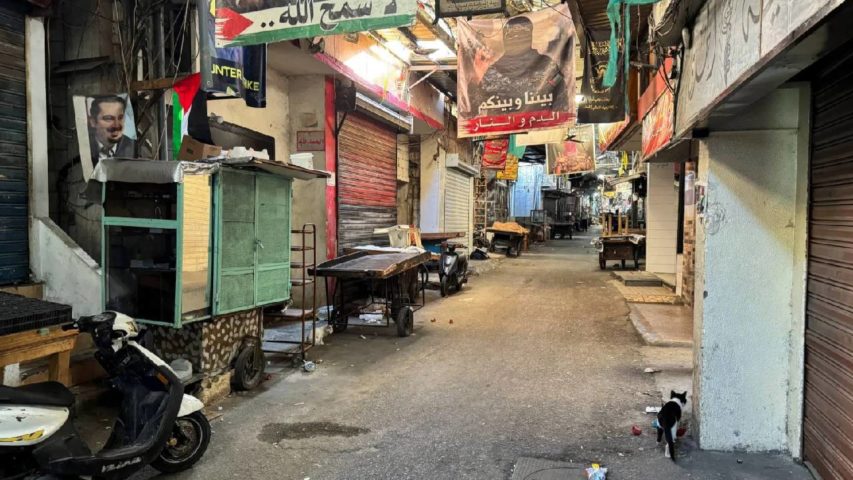 مخيم عين الحلوة
