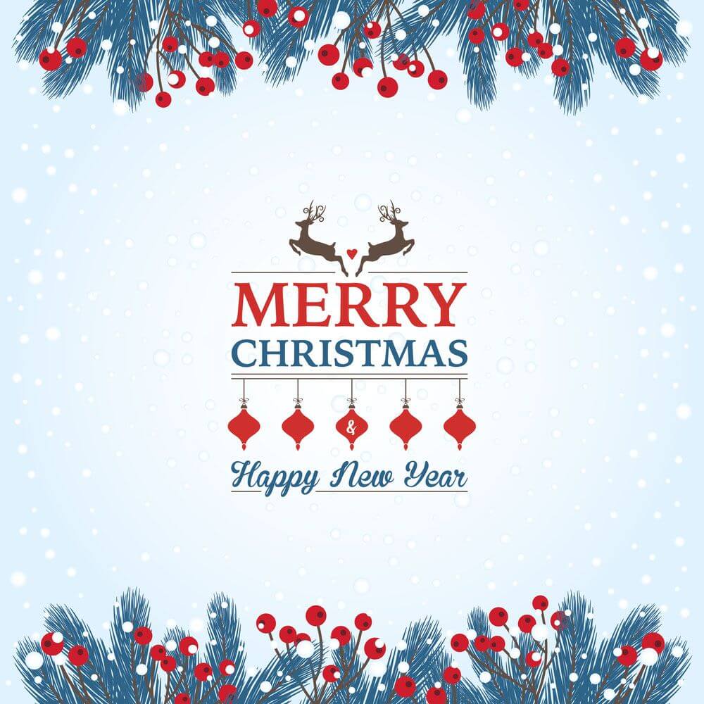 Merry Christmas & Happy New Year