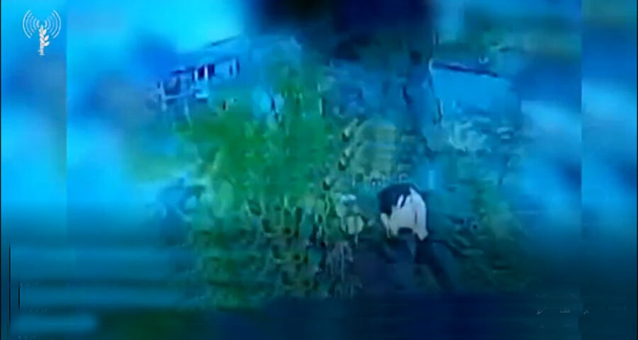 درون حزب الله