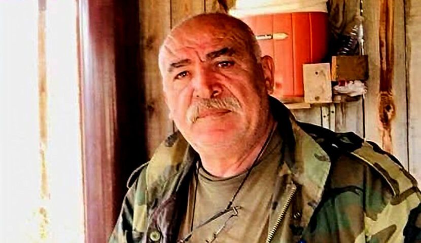 محمود السيد