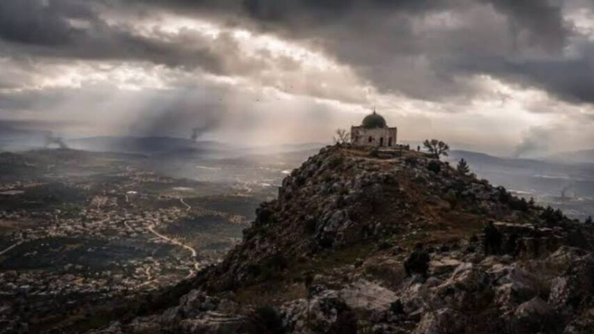 ali taher